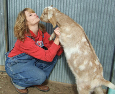 How We Transitioned from City to Country (And Why We Did So) Image